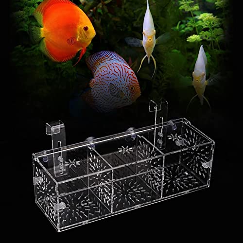 Transparent Acrylic Fish Tank Breeding Box, Aquarium Isolation Incubator, Separation Breeder Box for Fish, 30 cm x 10 cm x 10 cm