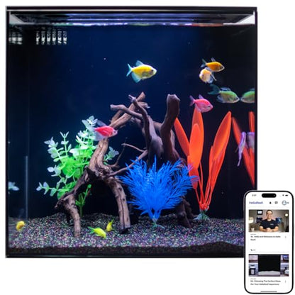 HelloReef 15 Gallon Glofish Complete Freshwater Aquarium Kit with App Controlled Smart LED Lighting, Filtration, Glofish Decor, and Guided Online Learning Center