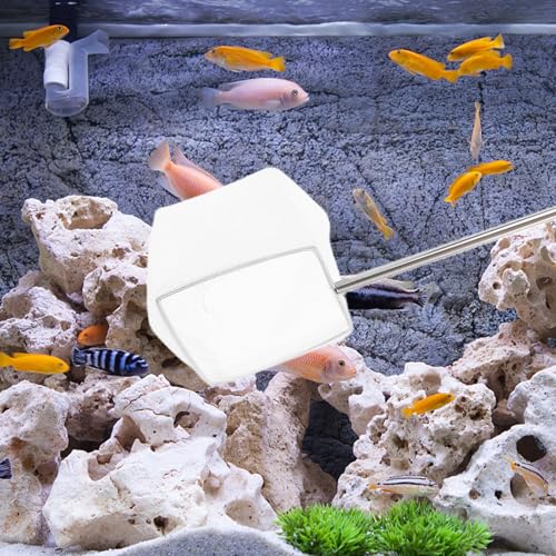 Amosfun Small Telescopic Aquarium Shrimp Net with Red Extended Handle, Fine Mesh Fish Tank Scoop for Nano Tanks, Lightweight Fishing Net for Shrimp and Small Fish Maintenance