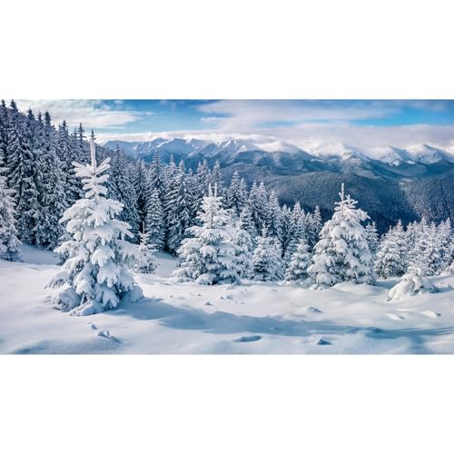 Winter Snow Aquarium Background Splendid Snow Capped Mountain Forest Fish Tank Background Snowy Frosty Fir Trees Valley Landscape Terrarium Backgrounds White Wonderland Tank Backgrounds 48x24in - color: Grey_Light Blue, size: 48(W)x24(H)inches/ 120(W)*60c
