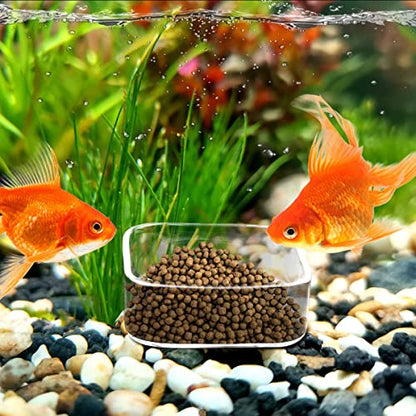 Aquarium Shrimp Feeder Dish Fish Tank Feeding Bowls Glass Square Clear Dish Tray Plate