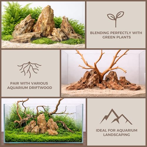 2.2-4.1 Inches Natural Dragon Stone, 10 PCS Small Aquarium Rocks for Aquascaping, Nano Tanks, Terrariums, Reptile Tanks & Aquarium Décor