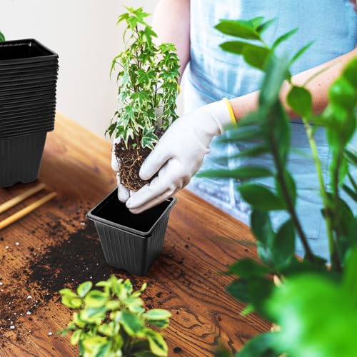 100Pcs Square Plant Nursery Pots,3.5 Inch Plastic Pots with Drainage Holes,Reusable Seed Starter Pots for Flowers,Vegetables,Garden Planting,Transplanting,Succulents,Cuttings(Black) - color: 100pcs Black