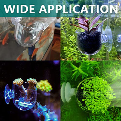 Uenhoy 5 Pcs Plastic Aquatic Plant Pots, Aquarium Plant Pots with Suction Cups, Acrylic Aquarium Planter, Red Shrimp Live Plant Fish Tank Holder - size: 5 Pcs