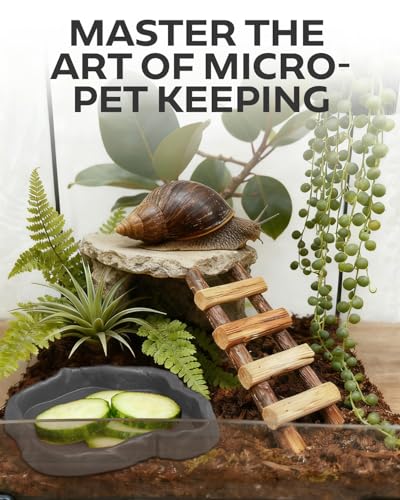 4Pcs Snail Food and Water Bowl, Reptile Water Dish and Food Bowl, Natural Design Terrarium Feeding Dish for Garden Snails, Hermit Crab, Lizard, Frog, Gecko (Black, Green)