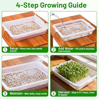 Acrylic Microgreens Growing Trays 3-Pack – Clear Hydroponic Seed Starter Kit with Silicone Mats & Spray Bottle – Reusable Plant Germination Trays for Vegetables, Wheatgrass, Cat Grass – Indoor Garden