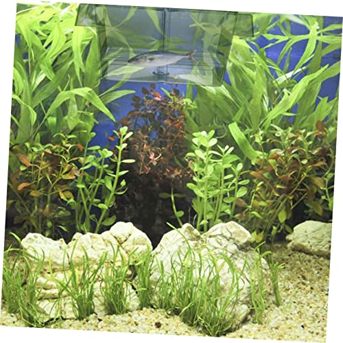 Sosoport 1pc Fish Breeding Box Incubator for Aquarium Isolation Safe Hatching and Acclimation Design for Easy Observation Optimized Water for Juvenile Fish