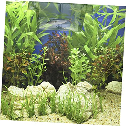 Sosoport 1pc Fish Breeding Box Incubator for Aquarium Isolation Safe Hatching and Acclimation Design for Easy Observation Optimized Water for Juvenile Fish
