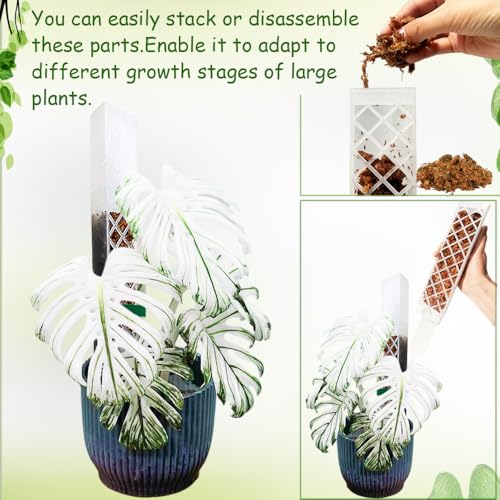 MIIIM 3 Pcs Self-Watering Moss Poles, D Shape Moss Pole Kit for Climbing Plants Indoor, Semi Transparent Monstera Plant Support, 39 Inches in Total Length - color: 3 pcs semi-transparent