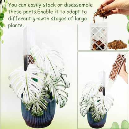 MIIIM 3 Pcs Self-Watering Moss Poles, D Shape Moss Pole Kit for Climbing Plants Indoor, Semi Transparent Monstera Plant Support, 39 Inches in Total Length - color: 3 pcs semi-transparent