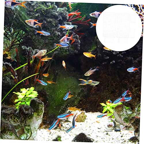 6Pcs Aquarium Divider Mesh Isolation Board Fish Tank Filtering Trays for Fish Breeding Separation Design