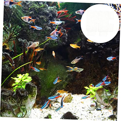 6Pcs Aquarium Divider Mesh Isolation Board Fish Tank Filtering Trays for Fish Breeding Separation Design