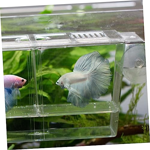 BESPORTBLE Transparent Fish Breeding Box Dual Layer Incubation Container for Fry Durable Aquarium Isolation Box with Suction Cup Design for Young Fish Care Large
