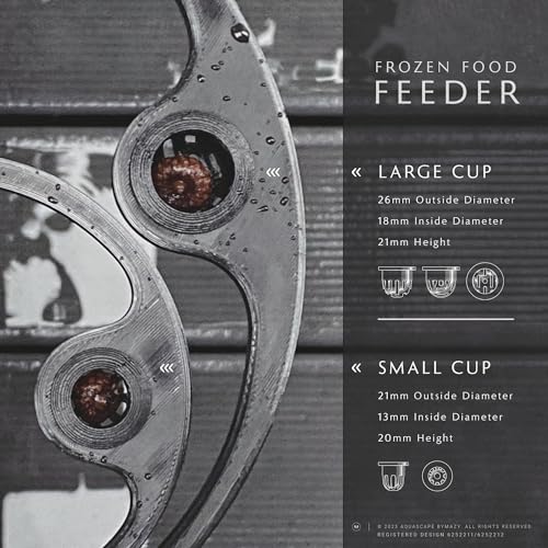 Betta Fish Feeding Ring | Floating Aquarium Portal with Worm Feeder Cone, Fish Tank Feeding Station (Black, SS)