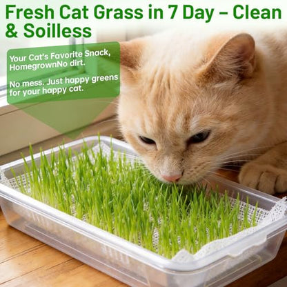 Acrylic Microgreens Growing Trays 3-Pack – Clear Hydroponic Seed Starter Kit with Silicone Mats & Spray Bottle – Reusable Plant Germination Trays for Vegetables, Wheatgrass, Cat Grass – Indoor Garden