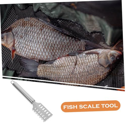 COLLBATH Stainless Steel Fish Scale Shaver with Lid Fast Cleaning Fish Skin Remover Comfortable Grip Effortless Use Seafood Tool for Home Kitchen