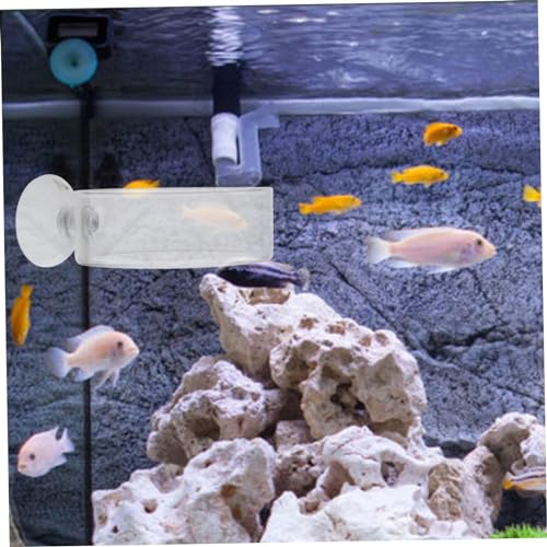 BESPORTBLE 2pcs Shrimp Feeding Bowls Compact Food Serving Trays for Fish Tank for Freshwater Aquariums Shrimp Dish Feeder Space-Saving Design
