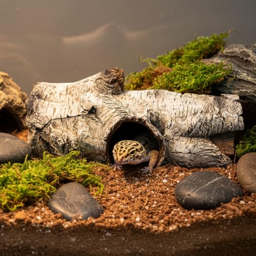 Aquarium Resin Bark Terrarium Decor, Lizard, Snake or Reptile Hide,Lizard, Spider and Aquarium Fish Hide Cave (Medium Bark A)