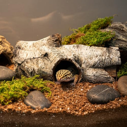 Aquarium Resin Bark Terrarium Decor, Lizard, Snake or Reptile Hide,Lizard, Spider and Aquarium Fish Hide Cave (Medium Bark A)