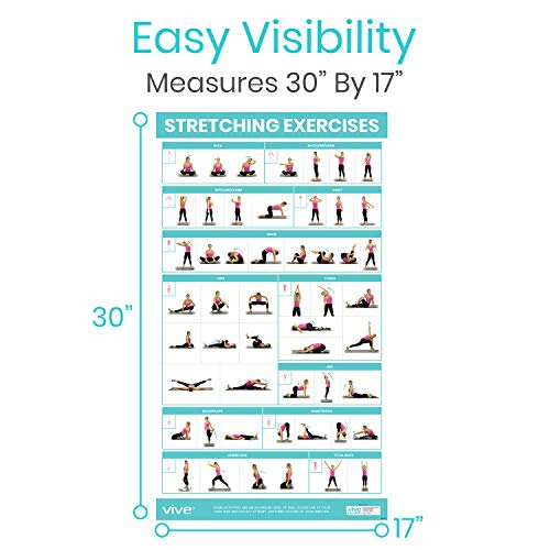 Vive Workout Posters for Home Gym - 52 Streching Exercises Full Body