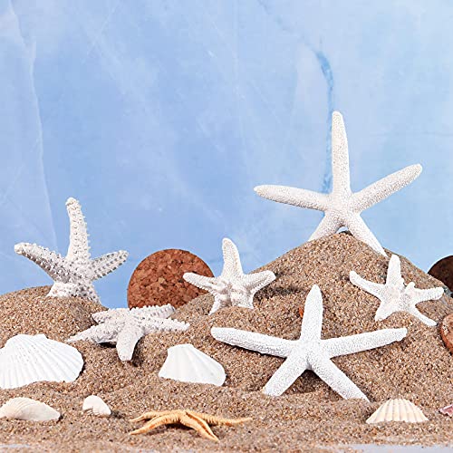 Sumind 8 Pcs White Starfish and Scallop Shells Decor White Aquarium 1-4 Inch Mixed Fish Tank Decor Resin Natural Beach Sea Shells Decorations for DIY Crafts Wedding Party Beach Home