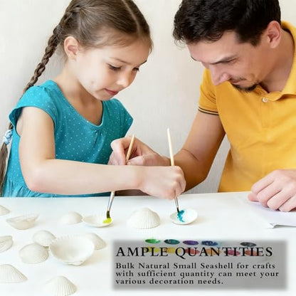 130-140Pcs Bulk Natural Small Seashell - 0.8-1.2 inches White Seashell Small Sea Shells Clams for Home Decor, DIY Crafts, Jewelry/Bracelet Making, Beach Theme Party, Fish Tank Vase Filler - size: 0.8-1.2inches