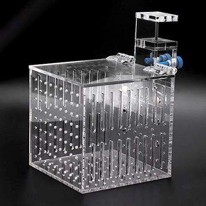 Clear Acrylic Fish Tank Isolation Box, Multifunctional Enclosure for Small Pets, 10.5 cm³, Water Flow Assurance