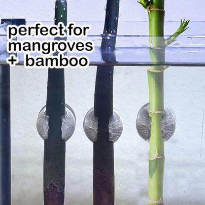 Magnetic Mangrove & Bamboo Holder for Aquariums (3 Pack) | Tank-Safe Magnets | Plant Mounts for Glass up to 1/4” | Aquascaping Support