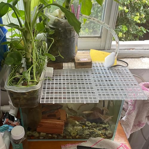 2PCS Fish Tank Dividers Lid, Aquarium Grid Bottom Isolation Tray Board, Plastic Egg Crate