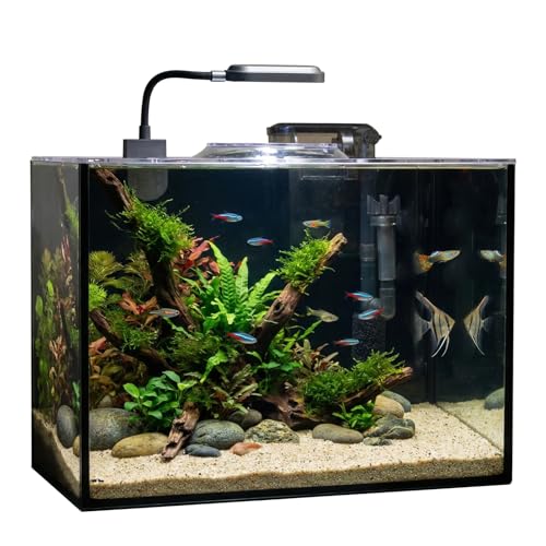 Glass Fish Tank, 2.8 Gallon Betta Fish Tank Aquarium Starter Kit with Filter and Light, Small Desktop Aquarium Kit for Betta, Goldfish, Small Fish or shrimg