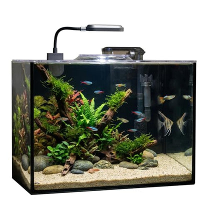 Glass Fish Tank, 2.8 Gallon Betta Fish Tank Aquarium Starter Kit with Filter and Light, Small Desktop Aquarium Kit for Betta, Goldfish, Small Fish or shrimg