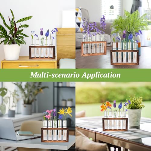 2pcs Desktop Glass Plant Propagation Station with 10 Test Tubes in Wooden Stand - Hydroponic Plants Cutting Office Home Decoration and Garden Decor Terrarium (10 Tubes)