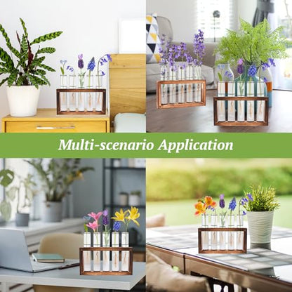 2pcs Desktop Glass Plant Propagation Station with 10 Test Tubes in Wooden Stand - Hydroponic Plants Cutting Office Home Decoration and Garden Decor Terrarium (10 Tubes)