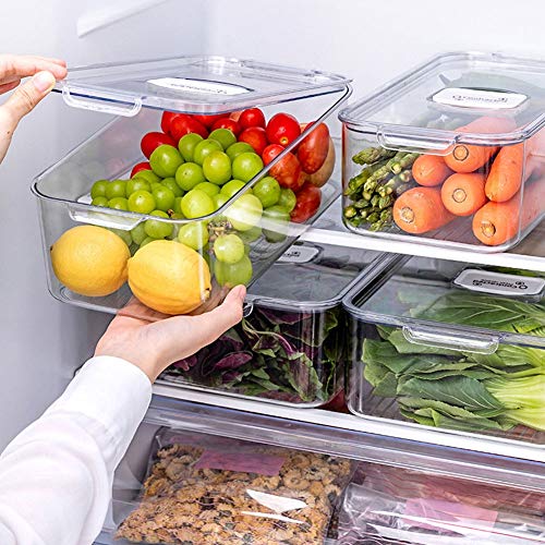 Fresh Box Food Storage Container with Lids Stackable Portable Freezer Containers for Fish Meat Vegetables Fruits Storage Bins Airtight (Model : A) (B)