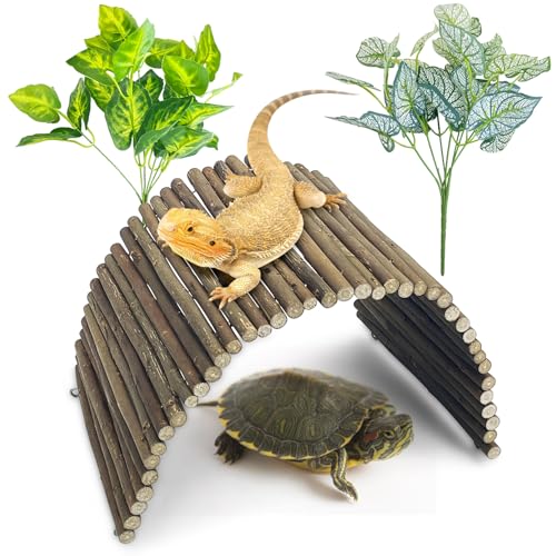 Large Reptile Hide Tortoise Hideout Bearded Dragon Wooden Bridge Snake Climbing Tunnel Habitat Decor for Lizards Spiders Gecko Ball Python (19.7x9 in) - color: Large-19.7x9in