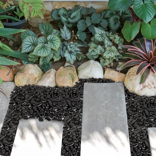 15 lb Black River Rocks for Landscaping, Polished Black Pebbles for Potted Plants & Vases, Large 1-2 Inch Decorative Stones for Garden Beds, Planters & Aquariums Decor