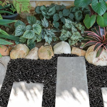 15 lb Black River Rocks for Landscaping, Polished Black Pebbles for Potted Plants & Vases, Large 1-2 Inch Decorative Stones for Garden Beds, Planters & Aquariums Decor