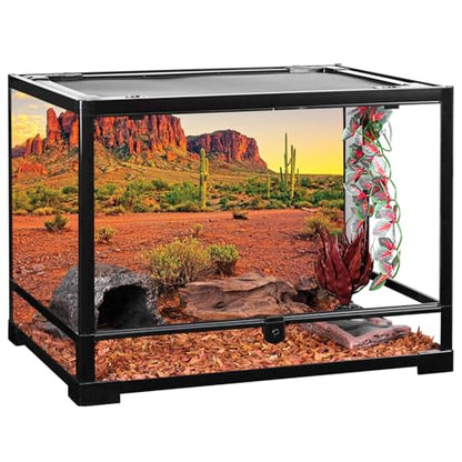 AWERT 48x24 inches Reptile Habitat Background Sky Oasis Mountain Cactus Sun and Desert Terrarium Background Durable Polyester Background