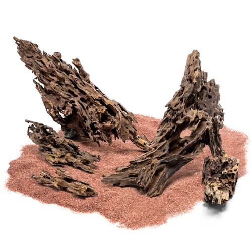 Natural Aquarium Driftwood for Fish Tanks, Terrarium, Reptile Habitats, Freshwater Aquatic Decor - Small to Large Pieces (Dragon Wood (Medium) 6-12", 3 Pieces) - size: 3 Pieces