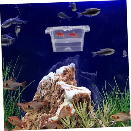 Mikikit 4pcs Floating Fish Fry Incubator Breeding Box for Aquarium Nursery Dual Layer Isolation Case for Betta Fish Eggs Compact Design for Efficient Hatching