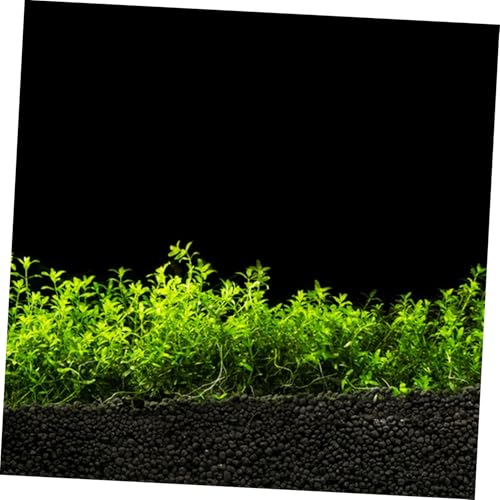 Aquarium Background Sticker: Fish Tank Backdrop Wallpaper Roll PVC Self-Adhesive Sticker Decal for DIY Aquarium Underwater Scenery Decoration