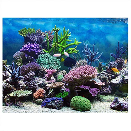 Aquarium Background 48x24 Inches Static Cling, Underwater Fish Tank Poster Sea Decor, Decorative Wallpaper for Fish Tank with Plants and Tropical Theme - color: 61*41cm