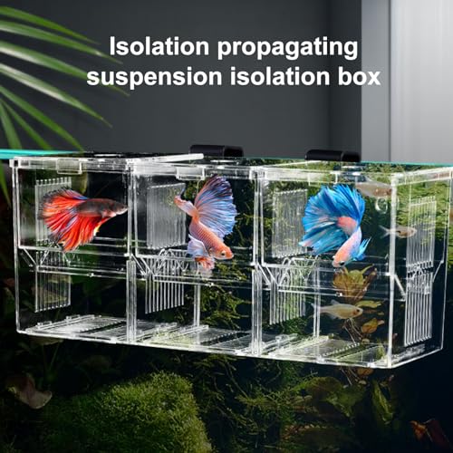 Aquarium Fish Breeding Box, Acrylic Transparent Multi-Grid Design Fish Isolation Box Hatchery-Incubator for Newborn Fry Shrimp Clownfish Aggressive Fish Injured Transparent M