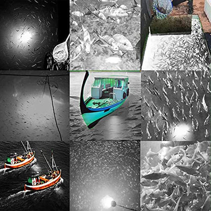 SAMDO IP68 12V LED Underwater Fishing Light 1080 Lumens Fish Attracting Light, Night Fishing Light 10.8W - color: White