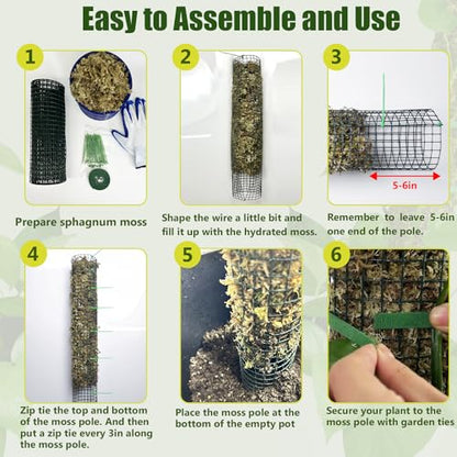 4 Pack Metal Moss Pole, 40" Moss Poles for Plants Monstera, Stackable Sphagnum Moss Pole for Plants Work with Sphagnum Moss(4 Pack 40") - color: 4 Pack 40"