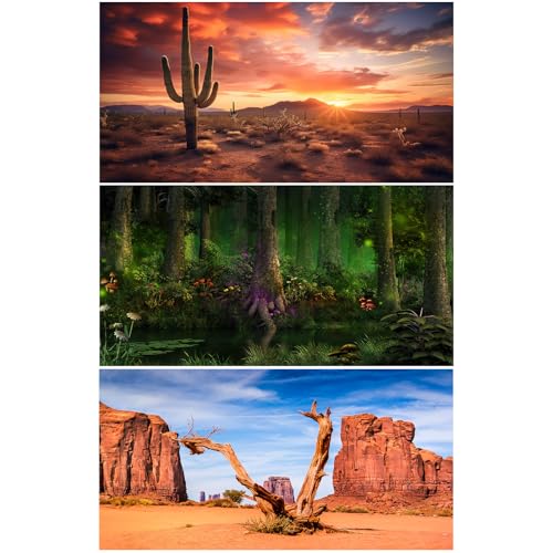 3 Pack Reptile Habitat Background Sunset Desert Terrarium Background Fantasy Forest Aquarium Background Gobi Sunshine Cactus Stone Green Fern Lizard Tank Terrarium Background 36x18in