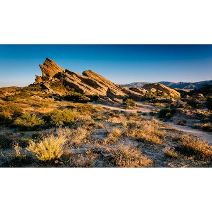 Desert Reptile Tank Background Evening Light on Rocks Terrarium Background Sunset Desert Rocky Bush Thorns Reptile Enclosure Backgrounds Desert Gobi Bearded Dragon Tank Aquarium Backgrounds 30x18in - color: Gobi Gold, size: 30(W)x18(H)inches/ 75(W)*45cm(H