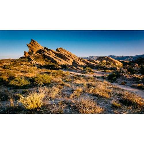 Desert Reptile Tank Background Evening Light on Rocks Terrarium Background Sunset Desert Rocky Bush Thorns Reptile Enclosure Backgrounds Desert Gobi Bearded Dragon Tank Aquarium Backgrounds 30x18in - color: Gobi Gold, size: 30(W)x18(H)inches/ 75(W)*45cm(H
