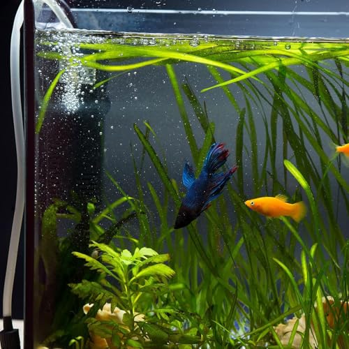 uxcell 20Pcs Aquarium Suction Cup Clips, 17mm Airline Tube Holders Clamps Cup Holder Sucker Tube Sucker for ID Airline Tubing Fish Tank, Black