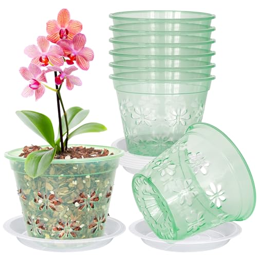 8 Pack 4"(top Diameter) x 3.1'H Orchid Pot, 4 5 6 7 8 inch Clear Orchid Pots with Holes & Saucers - Ideal for Repotting, Drainage & Healthy Growth(4", Green) - color: Green, size: 4'' x 3.1'' (8 pack)
